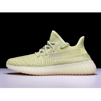 Adidas Yeezy Boost 350 V2 ANTLRF FV3255